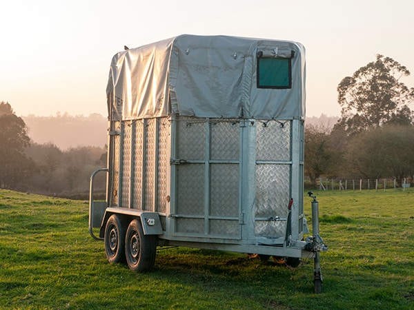 revisione-rimorchi-per-trasporto-di-cavalli